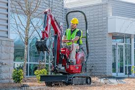 2023 Yanmar SV08 (baby one)