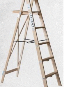 Ladder, 12' Step
