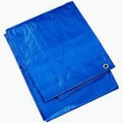 Tarp